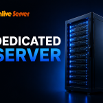 Dedicated Server