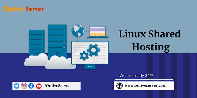 Perceive a Superior Linux Shared Hosting From Onlive Server