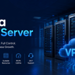 India VPS Server