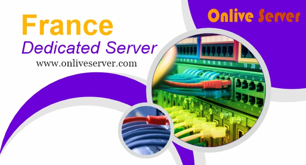 Full Guide to Choosing the Best France Dedicated Server Provider – Onlive Server